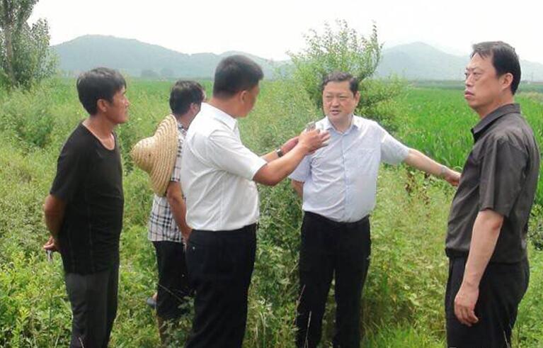 张殿锋进驻包保地区磐石市组织抢险救援工作